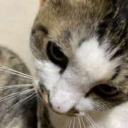 ヒメ日記 2025/07/16 05:06 投稿 宇多川麻里 五十路マダム 郡山店