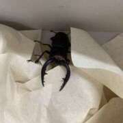 ヒメ日記 2025/07/19 03:26 投稿 宇多川麻里 五十路マダム 郡山店