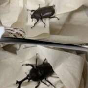 ヒメ日記 2025/07/28 05:04 投稿 宇多川麻里 五十路マダム 郡山店