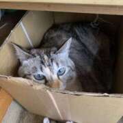 ヒメ日記 2025/08/02 09:28 投稿 宇多川麻里 五十路マダム 郡山店