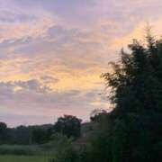 ヒメ日記 2025/08/07 04:50 投稿 宇多川麻里 五十路マダム 郡山店