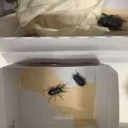 ヒメ日記 2025/08/18 05:00 投稿 宇多川麻里 五十路マダム 郡山店