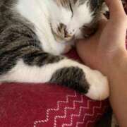 ヒメ日記 2025/08/23 01:08 投稿 宇多川麻里 五十路マダム 郡山店