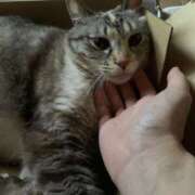 ヒメ日記 2025/08/24 07:46 投稿 宇多川麻里 五十路マダム 郡山店