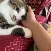 ヒメ日記 2025/08/24 17:24 投稿 宇多川麻里 五十路マダム 郡山店