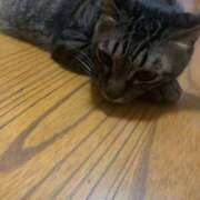 ヒメ日記 2025/08/26 04:28 投稿 宇多川麻里 五十路マダム 郡山店