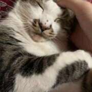 ヒメ日記 2025/08/27 04:12 投稿 宇多川麻里 五十路マダム 郡山店