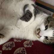 ヒメ日記 2025/09/04 19:02 投稿 宇多川麻里 五十路マダム 郡山店