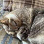 ヒメ日記 2025/09/29 00:28 投稿 宇多川麻里 五十路マダム 郡山店