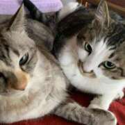 ヒメ日記 2025/10/21 00:38 投稿 宇多川麻里 五十路マダム 郡山店