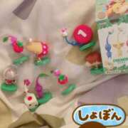 ヒメ日記 2025/11/07 13:38 投稿 宇多川麻里 五十路マダム 郡山店