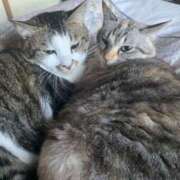 ヒメ日記 2025/12/01 12:56 投稿 宇多川麻里 五十路マダム 郡山店