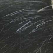 ヒメ日記 2025/12/04 17:52 投稿 宇多川麻里 五十路マダム 郡山店