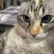 ヒメ日記 2025/12/05 20:28 投稿 宇多川麻里 五十路マダム 郡山店