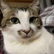 ヒメ日記 2025/12/05 20:34 投稿 宇多川麻里 五十路マダム 郡山店