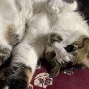 宇多川麻里 ＣＭって 五十路マダム 郡山店