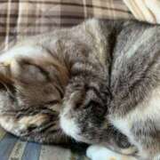 ヒメ日記 2025/12/11 00:34 投稿 宇多川麻里 五十路マダム 郡山店