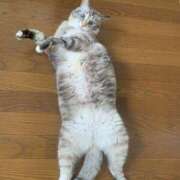 ヒメ日記 2025/12/16 04:34 投稿 宇多川麻里 五十路マダム 郡山店