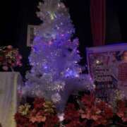 ヒメ日記 2025/12/25 05:12 投稿 宇多川麻里 五十路マダム 郡山店