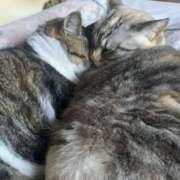 ヒメ日記 2026/01/01 23:54 投稿 宇多川麻里 五十路マダム 郡山店