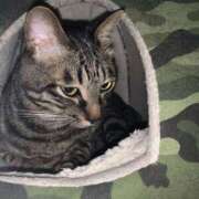 ヒメ日記 2026/01/08 16:22 投稿 宇多川麻里 五十路マダム 郡山店