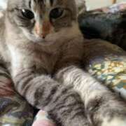 ヒメ日記 2026/01/19 16:58 投稿 宇多川麻里 五十路マダム 郡山店