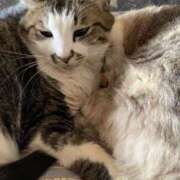 ヒメ日記 2026/01/22 10:20 投稿 宇多川麻里 五十路マダム 郡山店