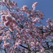 ヒメ日記 2026/02/04 17:02 投稿 宇多川麻里 五十路マダム 郡山店