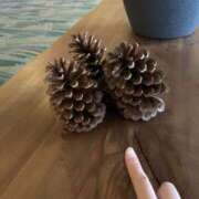 ヒメ日記 2026/02/07 14:18 投稿 宇多川麻里 五十路マダム 郡山店