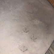 ヒメ日記 2026/02/10 20:36 投稿 宇多川麻里 五十路マダム 郡山店