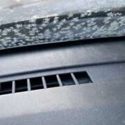 ヒメ日記 2026/02/20 10:00 投稿 宇多川麻里 五十路マダム 郡山店