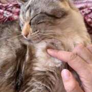 ヒメ日記 2026/02/23 00:46 投稿 宇多川麻里 五十路マダム 郡山店