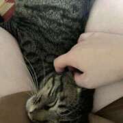 ヒメ日記 2026/02/27 00:58 投稿 宇多川麻里 五十路マダム 郡山店