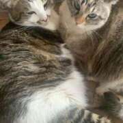 ヒメ日記 2026/02/27 18:20 投稿 宇多川麻里 五十路マダム 郡山店