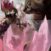 ヒメ日記 2026/03/01 14:56 投稿 宇多川麻里 五十路マダム 郡山店