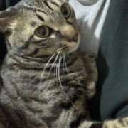 ヒメ日記 2026/03/24 00:54 投稿 宇多川麻里 五十路マダム 郡山店