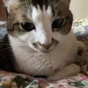 ヒメ日記 2026/04/01 16:42 投稿 宇多川麻里 五十路マダム 郡山店