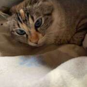 ヒメ日記 2026/04/06 01:32 投稿 宇多川麻里 五十路マダム 郡山店