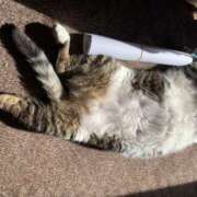 ヒメ日記 2026/04/08 15:24 投稿 宇多川麻里 五十路マダム 郡山店