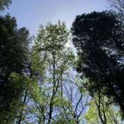 ヒメ日記 2026/04/19 11:18 投稿 宇多川麻里 五十路マダム 郡山店