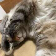 ヒメ日記 2026/04/21 05:16 投稿 宇多川麻里 五十路マダム 郡山店