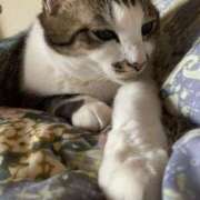 ヒメ日記 2026/04/22 05:24 投稿 宇多川麻里 五十路マダム 郡山店