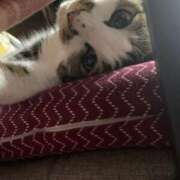 ヒメ日記 2026/04/24 05:30 投稿 宇多川麻里 五十路マダム 郡山店