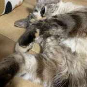 ヒメ日記 2026/04/29 00:46 投稿 宇多川麻里 五十路マダム 郡山店