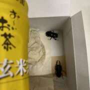 ヒメ日記 2026/06/18 00:42 投稿 宇多川麻里 五十路マダム 郡山店