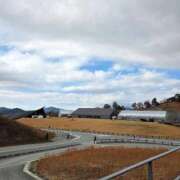 ヒメ日記 2025/12/20 15:09 投稿 夏目さやか ゴシップガール～淑女不倫～