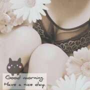 ヒメ日記 2025/01/23 10:05 投稿 ゆうき ぷるるんマダム 難波店