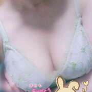 ヒメ日記 2025/02/19 21:02 投稿 ゆうき ぷるるんマダム 難波店