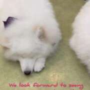 ヒメ日記 2025/02/28 10:24 投稿 ゆうき ぷるるんマダム 難波店