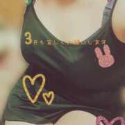 ヒメ日記 2025/03/01 09:22 投稿 ゆうき ぷるるんマダム 難波店